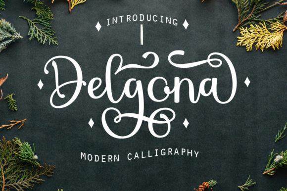 Delgona: A Delicate Script Font for Branding