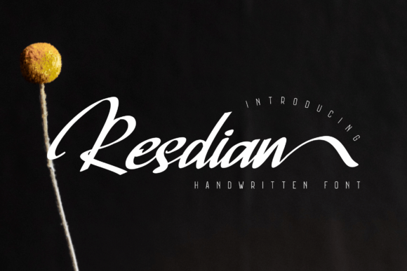 Resdian: A Script Font That Elevates Web Design